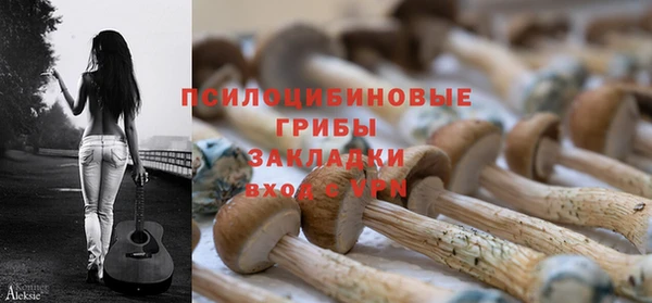 герыч Новодвинск