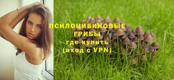 герыч Новодвинск