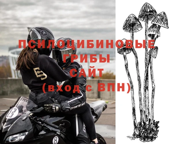 амфетамин Новокубанск