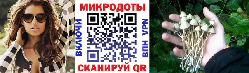 Псилоцибиновые грибы GOLDEN TEACHER  Купить  Курск 